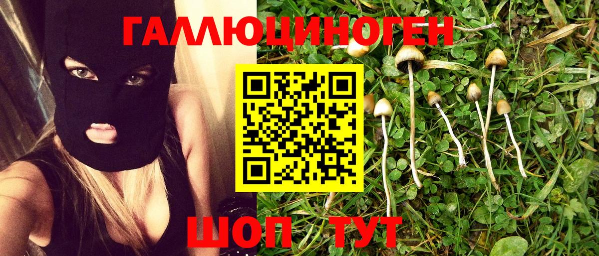 Псилоцибиновые грибы Psilocybine cubensis  Вход с VPN  Псилоцибиновые грибы Psilocybine cubensis  Кузнецк 